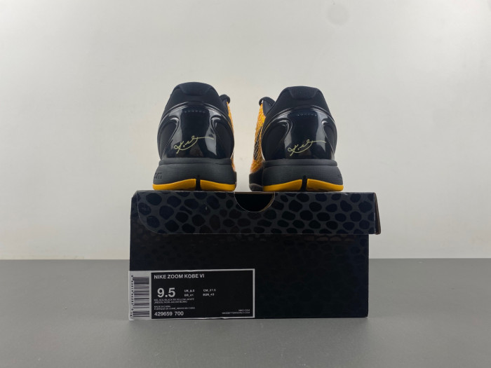 zoom kobe 6 