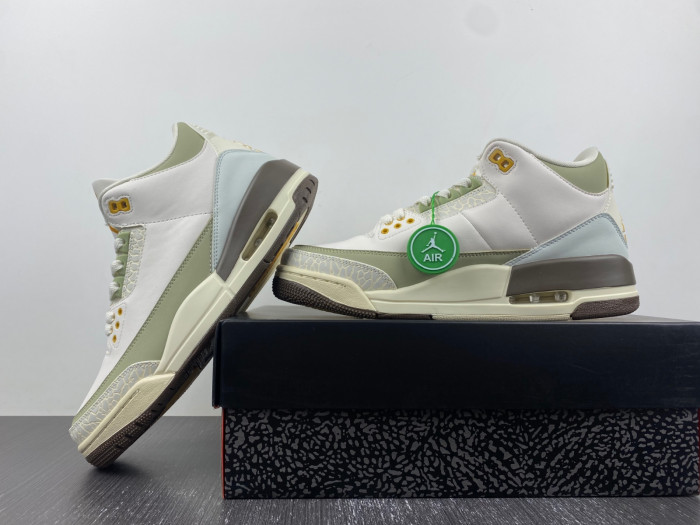 air jordan 3 aj30621