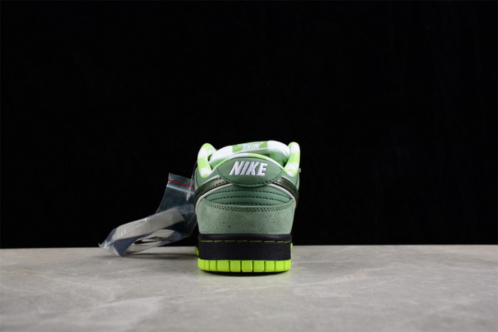 concepts x dunk low sb