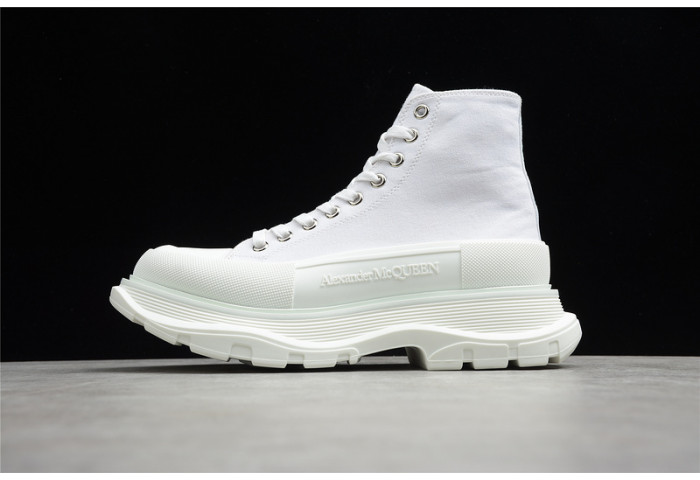 ALEXANDER MCQ12