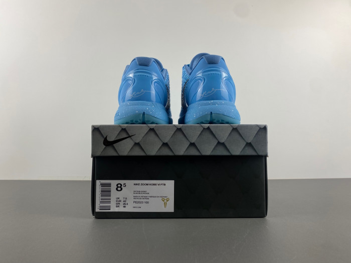 Nike Zoom Kobe 6 PE2023-100