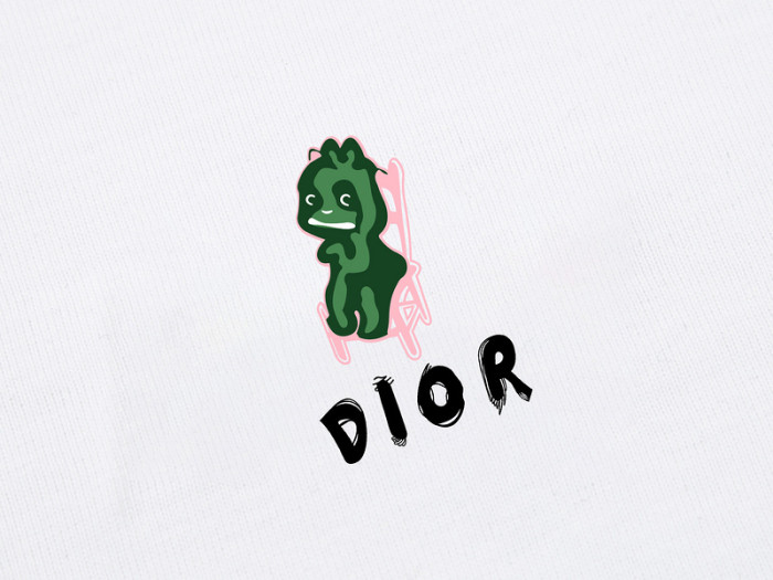 D1OR T-SHIRT DR13