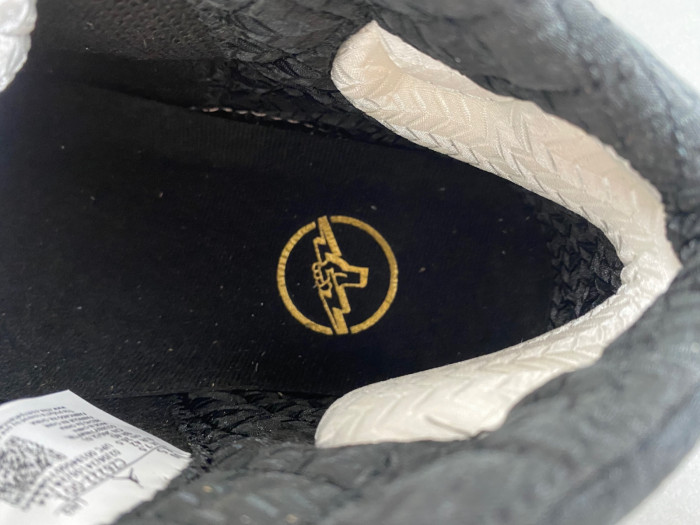 Air Jordan 23 TITAN CZ6222-001